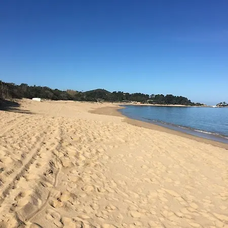 120 M2 Avec Piscine 3 Hebergement Classe 4 Etoiles * Pietrosella